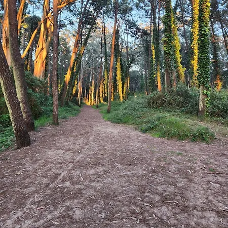 Apartman Playa De Covachos *