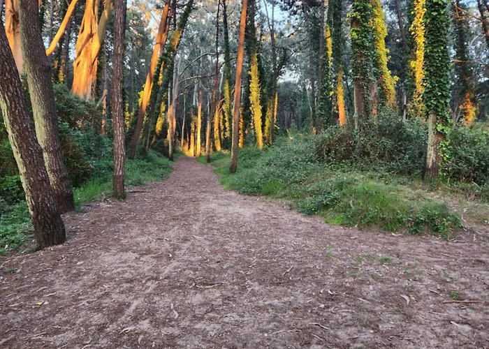 Apartmán Playa De Covachos *